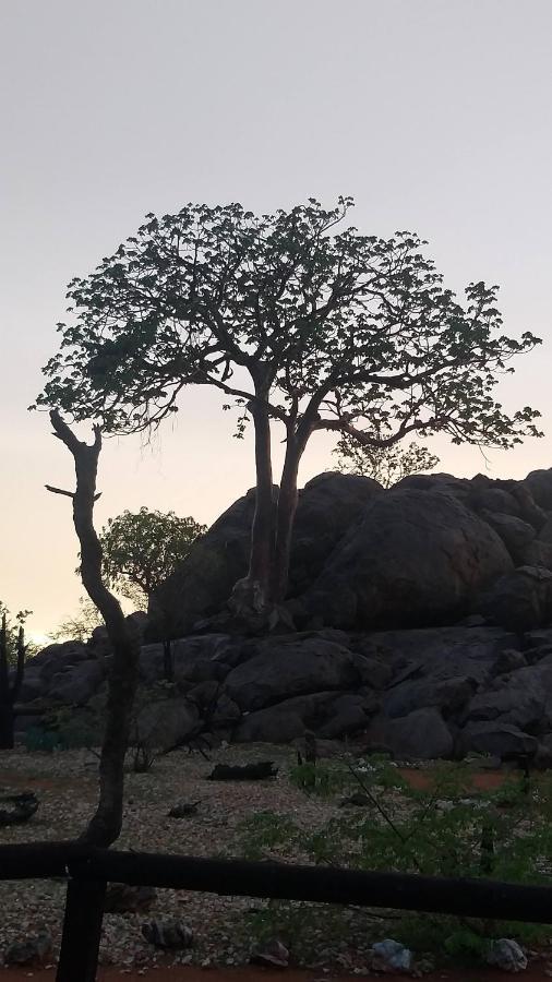 Porcupine Camp Kamanjab Otel Dış mekan fotoğraf